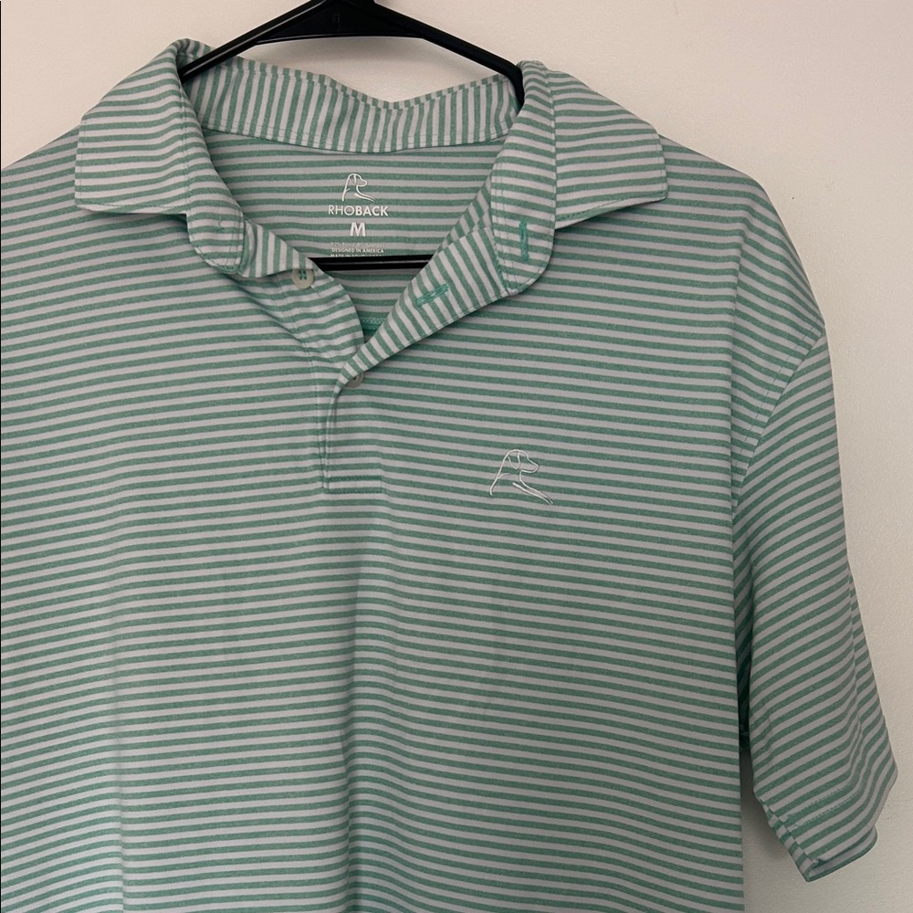 Rhoback Men's Mint Striped Polo Shirt